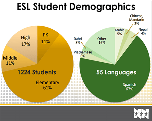 ESL Student Enrollment Overview Graph