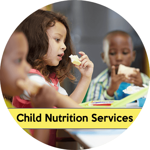 Child Nutrition Services