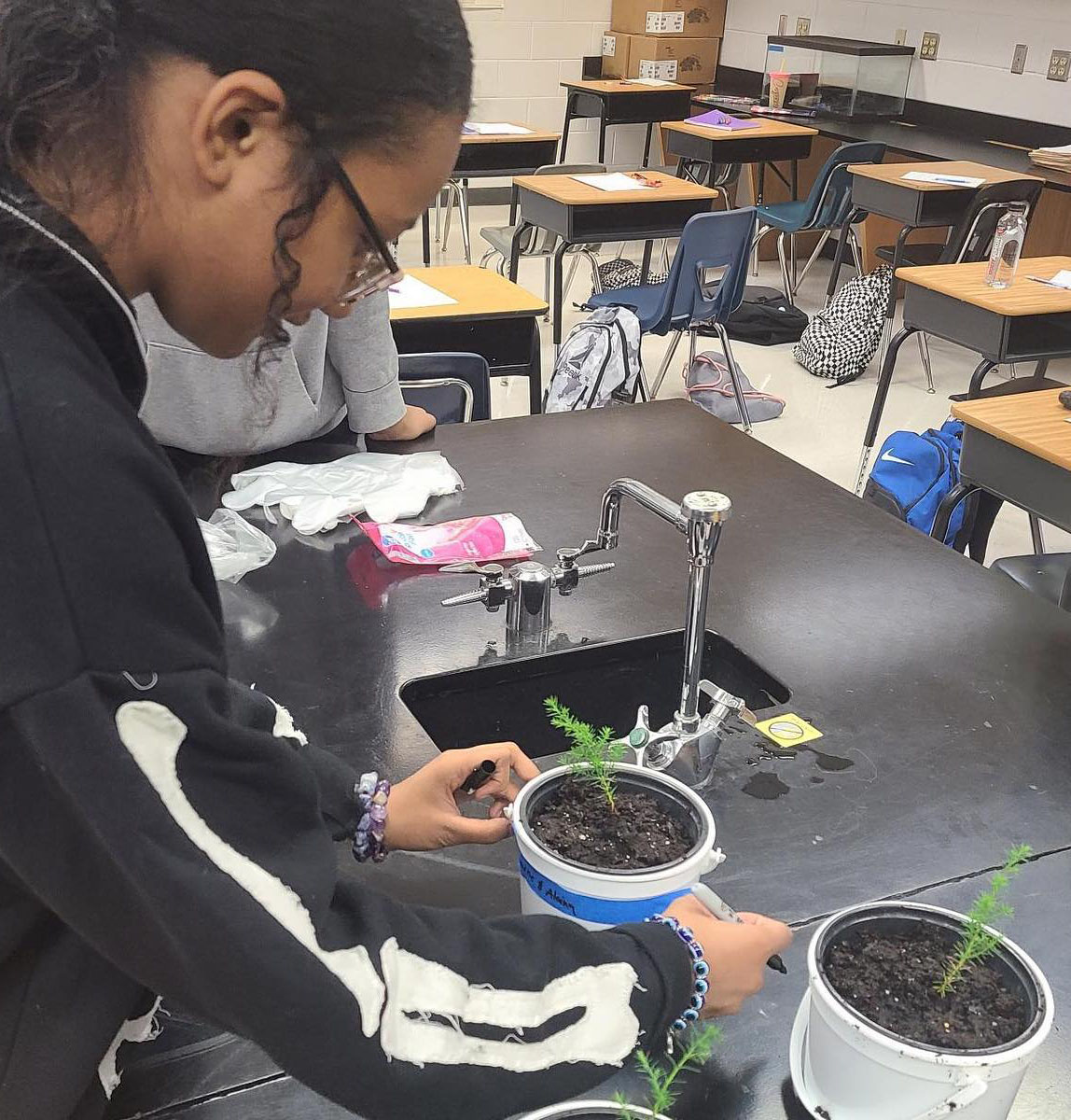 Woodside High students in environmental science classes planted cedar seedlings as they begin a partnership with the biology department at Christopher Newport University. The students are researching the effects of saltwater on the young trees.