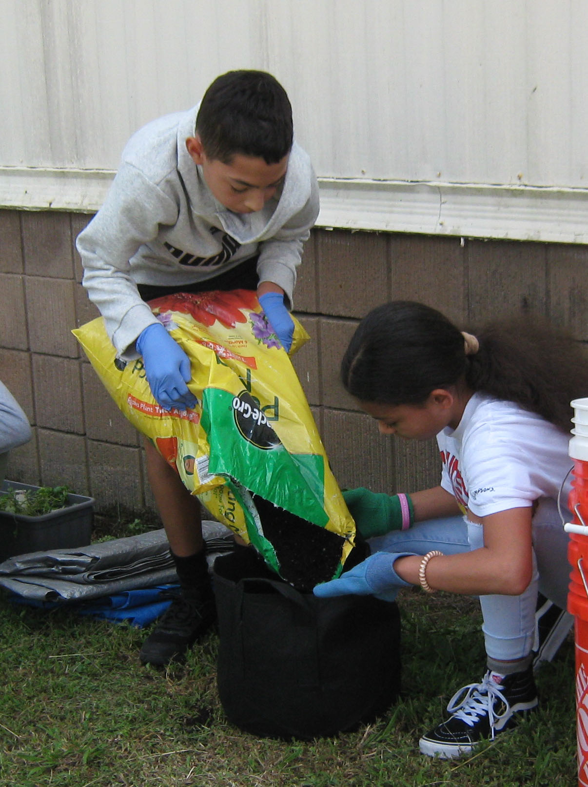 Students at Hines Middle School are growing fall crops inside and outside their English and Science classrooms.