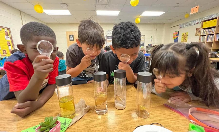 First-grade students at Greenwood Elementary School conduct investigations with apples.